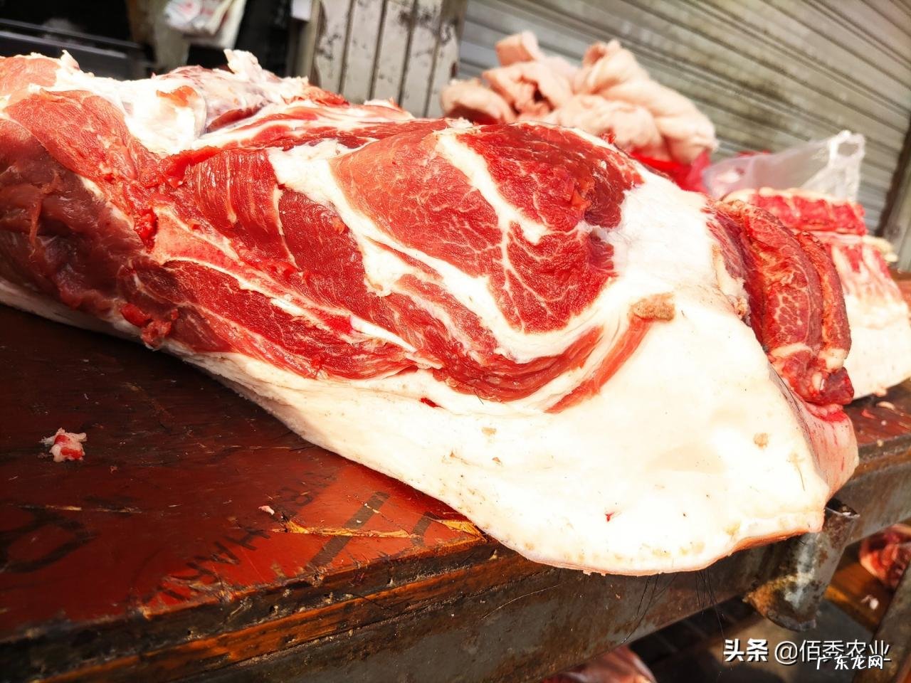 临近春节，猪价不升反降，是什么原因所致，年底还会上涨吗？