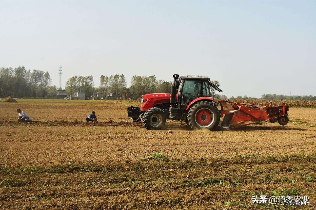 汤加火山喷发，对我国农业会产生哪些影响？其实也不完全是坏消息