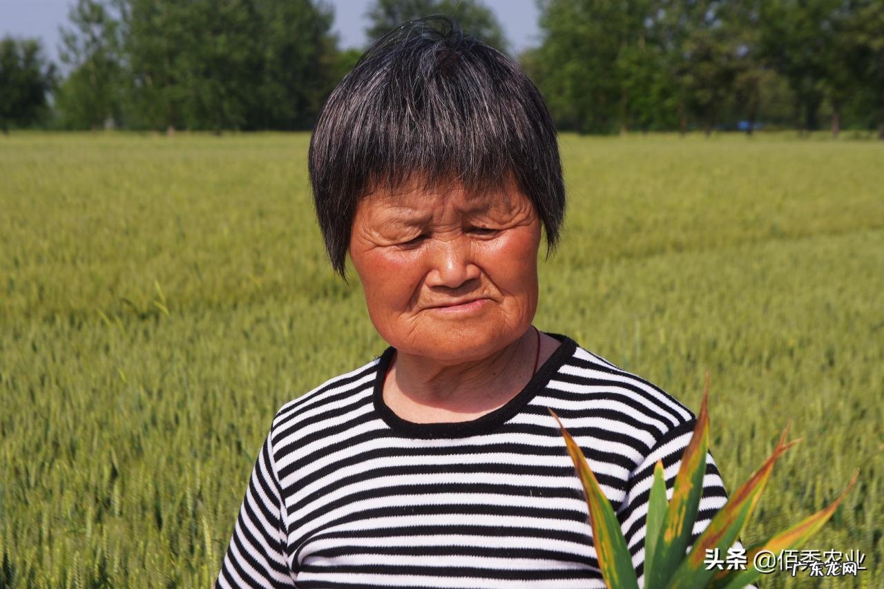 汤加火山喷发,对我国农业会产生哪些影响?其实也不完全是坏消息
