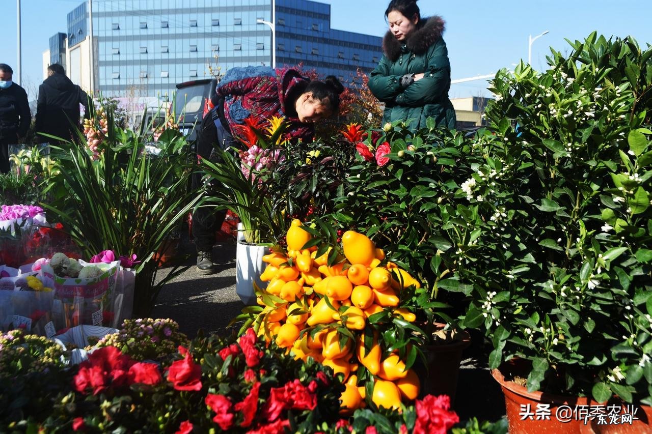 在农村过春节，正在发生3点变化，悄然影响人们的生活