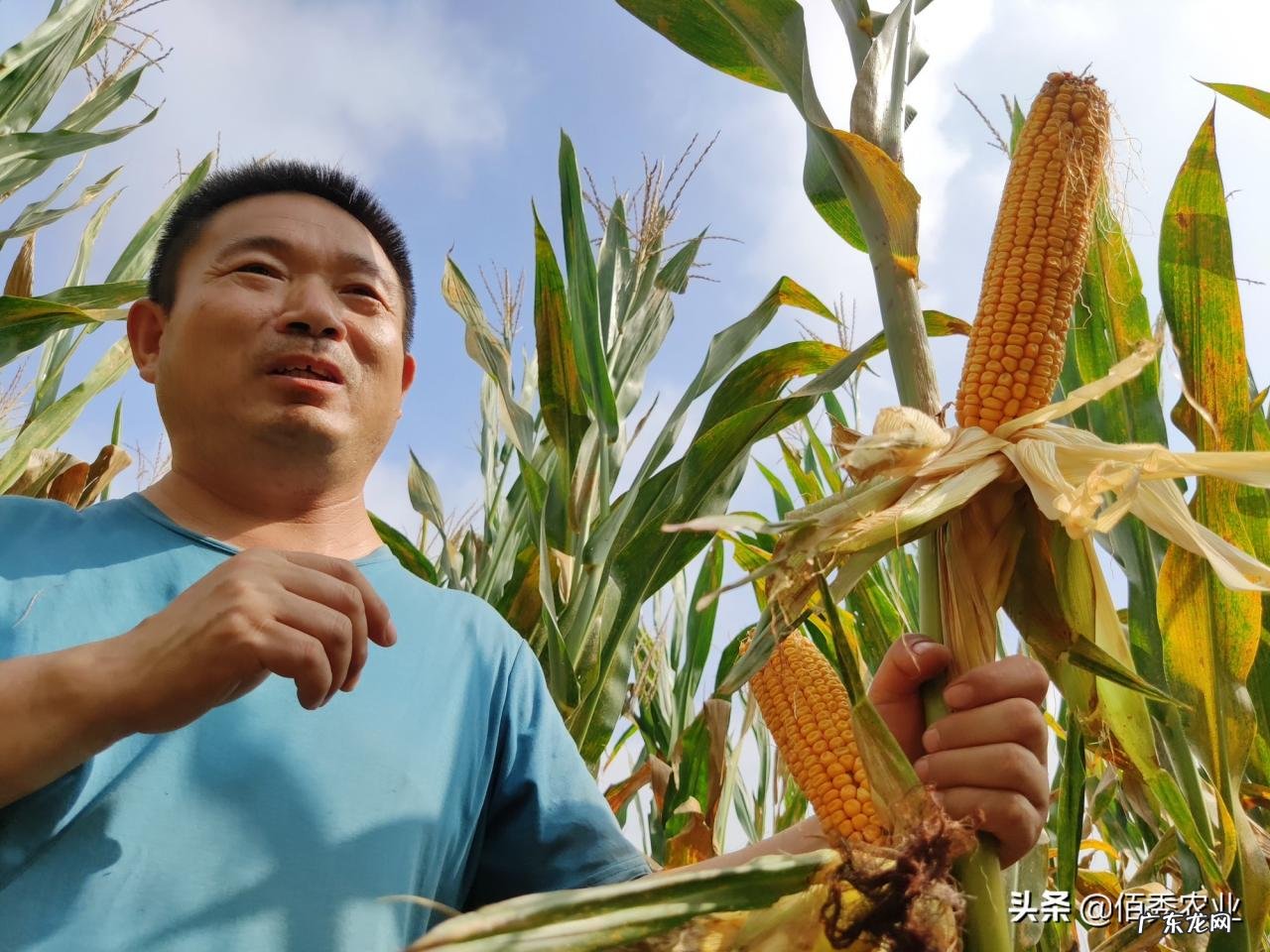 粮食可以人工合成吗?专家:已取得重大突破,离实际应用还很遥远