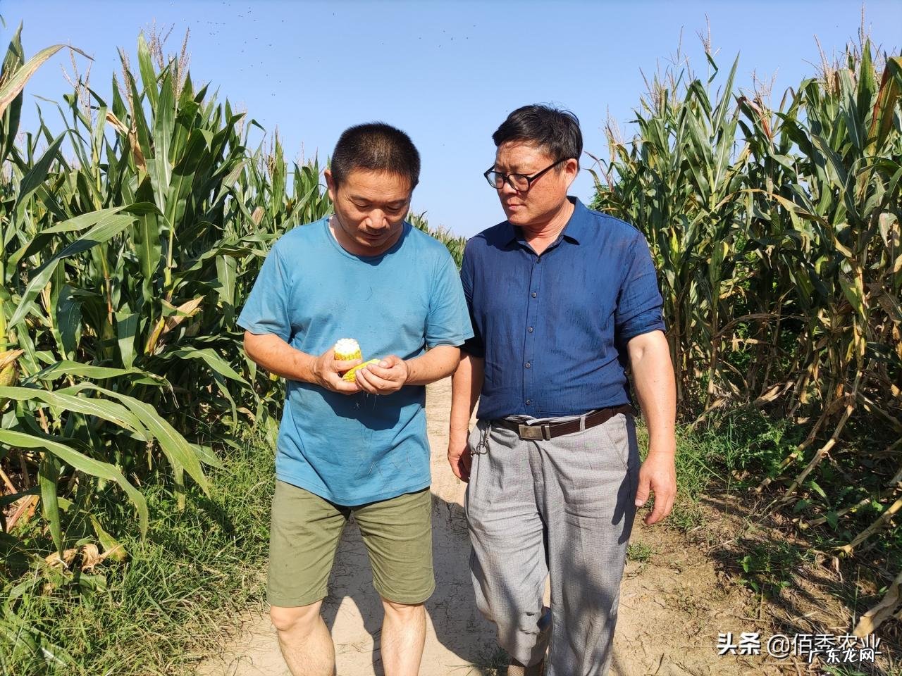 粮食可以人工合成吗?专家:已取得重大突破,离实际应用还很遥远