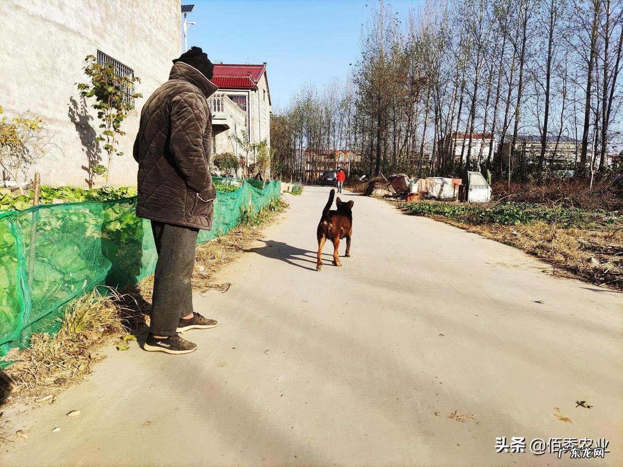 化肥销售有猫腻:买一袋复合肥赠送两袋有机肥,专挑农村老人下手