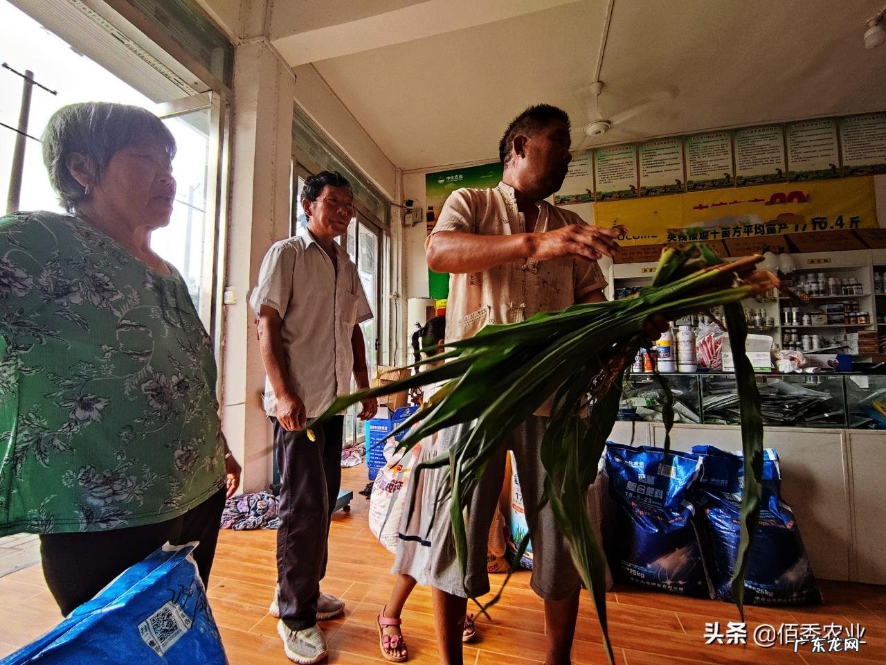 农作物遭到人为破坏,为啥不容易挽回损失,有好办法进行防范吗