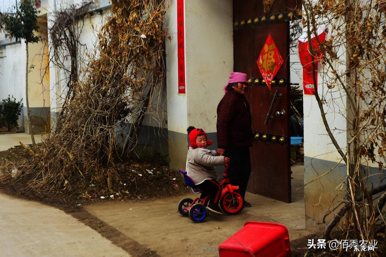 农村攀比风愈演愈烈,拼车拼房已经过时,第3阶段已经开始