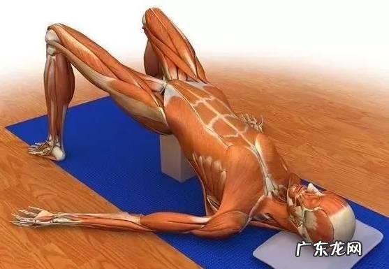 你们的屁股大怎么办,有什么办法可以减下来?