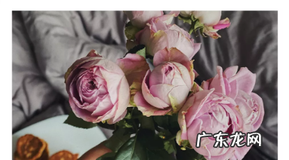 2022年普通人自救指南,建议收藏