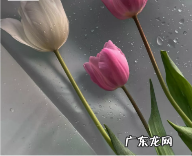 把糟心事处理得特别好的人，都是什么样的？