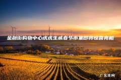 金融街购物中心虎虎生威春节市集即将惊喜亮相