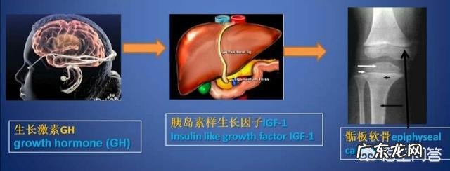 7个月宝宝吃什么能长胖,它只长身高,不长胖