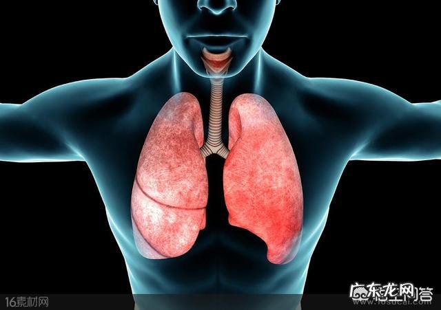 烟龄20年,戒烟后肺多久能恢复健康?