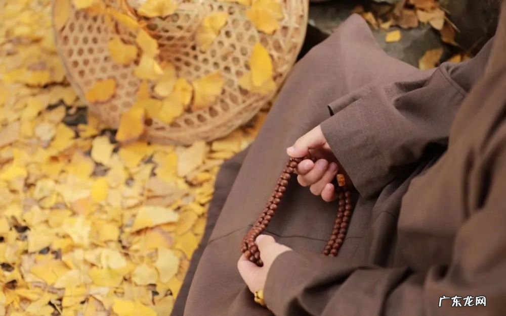 孙洪鹤:一个自媒体大V忍辱3年的心酸历程,扒开事实说出真相