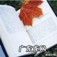 为什么说读书是一门享受生活的艺术