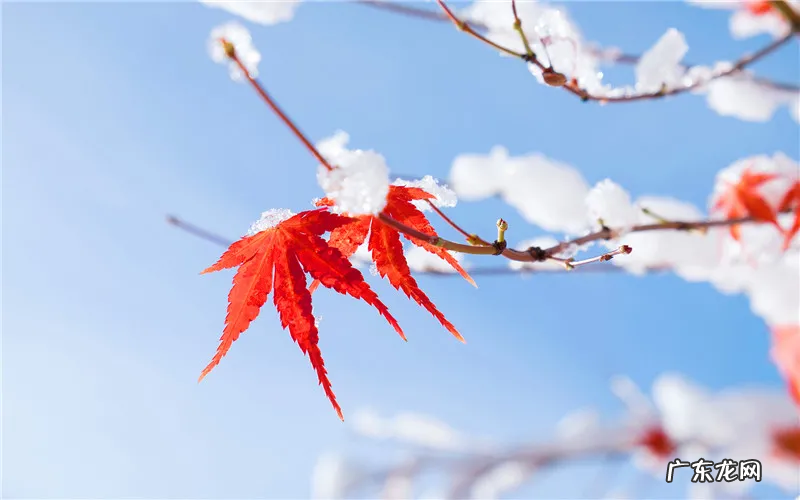 冷门小生意,现在市场上还有哪些?这几个都是普通人能做的