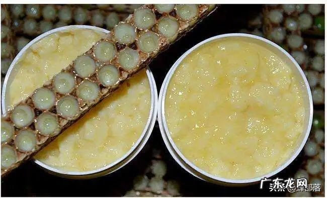 ?蜂蜜与蜂王浆,哪个更纯天然?不要只看味道,看产生的方式就知道