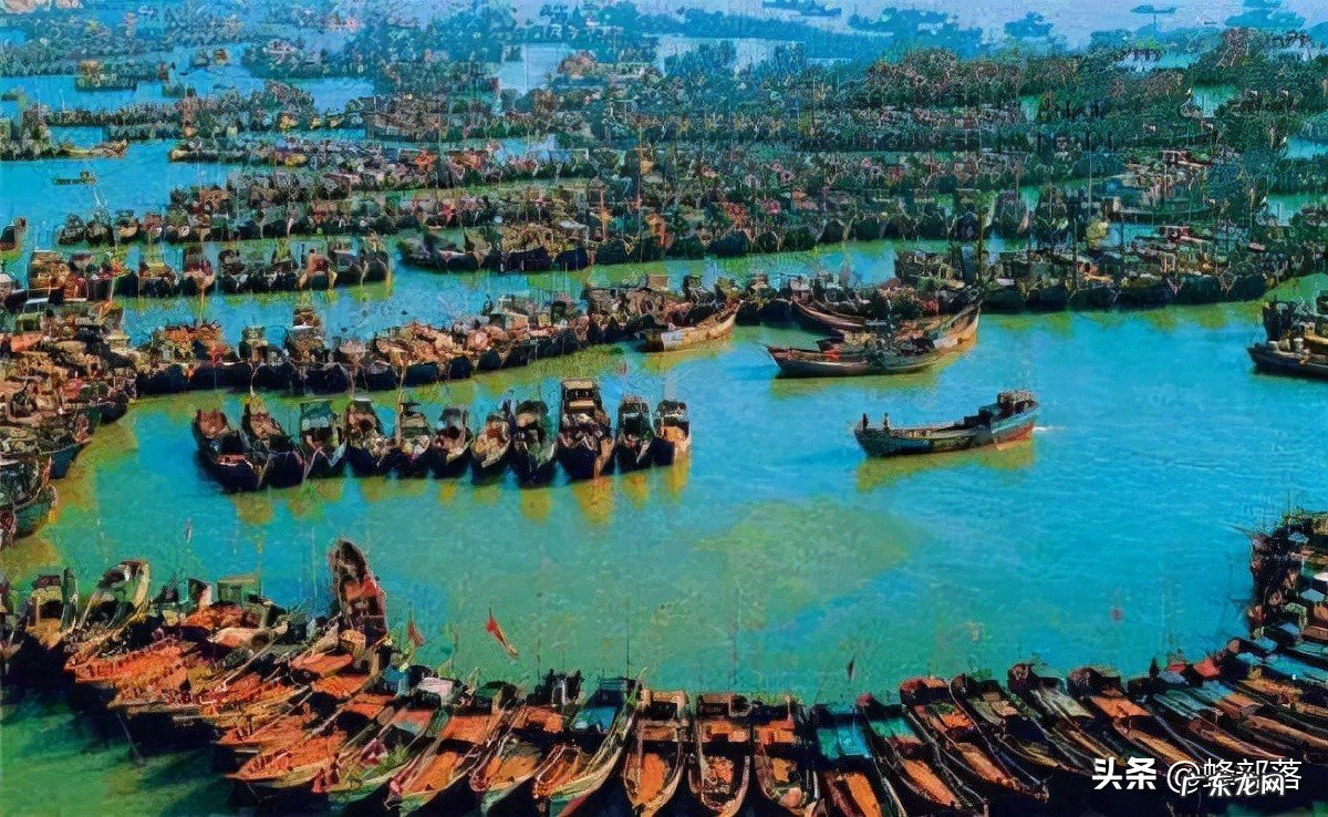 40年内从一斤2毛涨到4000元，70年代受保护，揭秘黄鱼“生死劫”