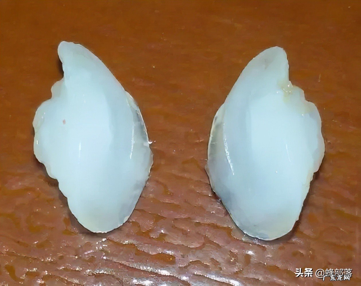 40年内从一斤2毛涨到4000元，70年代受保护，揭秘黄鱼“生死劫”