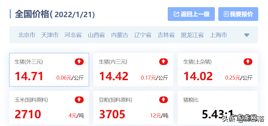 2021年企业出栏生猪均利润564元每头?没错!看官方详细解读