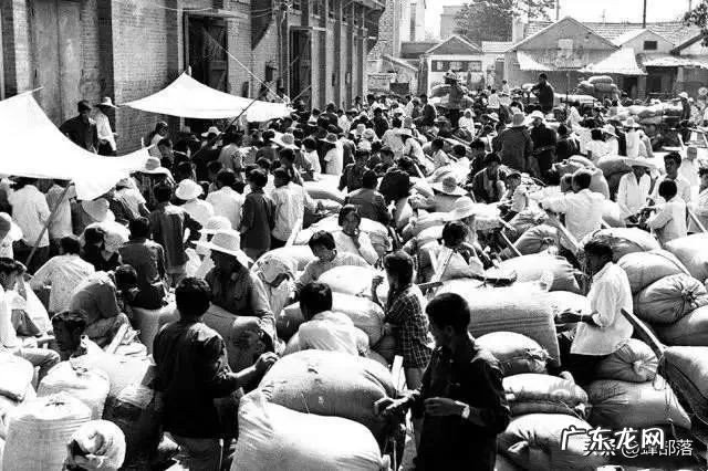 零售价高达4000元每斤的黄鱼,为啥不大量人工养殖?5个原因