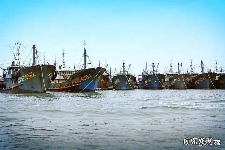 一网就捞957万元,做渔民很赚钱吗?4900斤野生黄鱼得主讲了实话