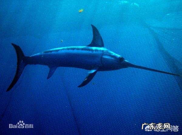 “人生一世，草木一春”，为什么人的寿命就这么短促呢