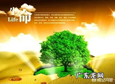 “人生一世,草木一春”,为什么人的寿命就这么短促呢