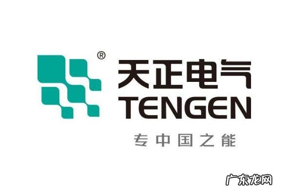 稳压器哪种好 稳压器十大品牌排行榜