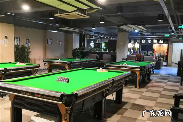 桌球台品牌排行 桌球房加盟10大品牌排行榜