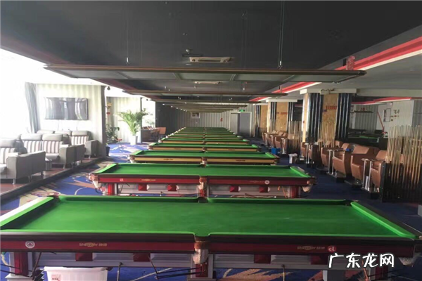 桌球台品牌排行 桌球房加盟10大品牌排行榜