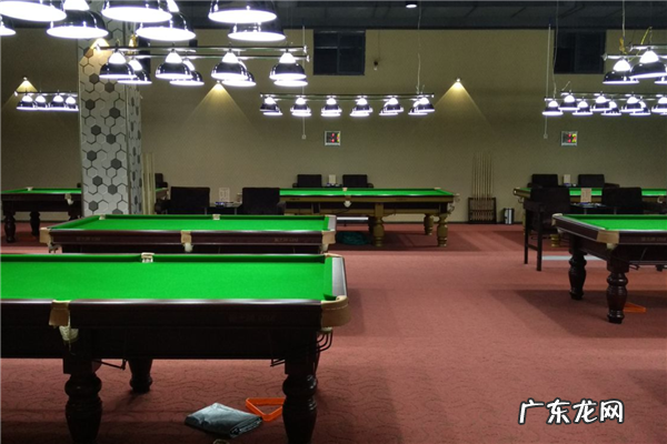 桌球台品牌排行 桌球房加盟10大品牌排行榜