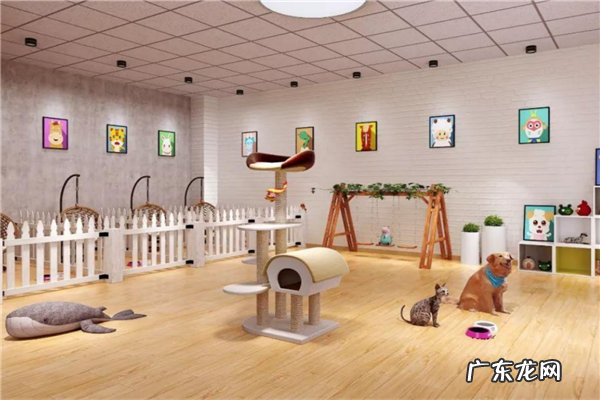 宠物店加盟排行哪家好 宠物店加盟10大品牌排行榜