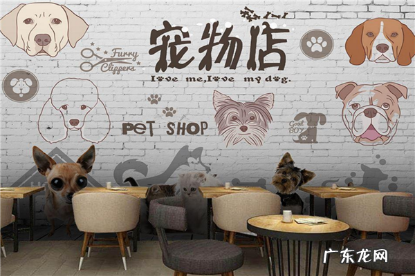 宠物店加盟排行哪家好 宠物店加盟10大品牌排行榜