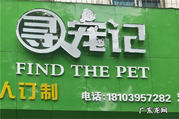 宠物店加盟排行哪家好 宠物店加盟10大品牌排行榜