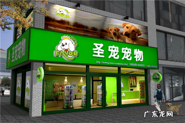 宠物店加盟排行哪家好 宠物店加盟10大品牌排行榜