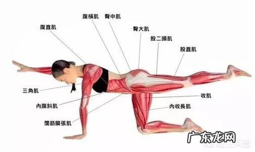 在跑步的过程中,该不该注重力量训练