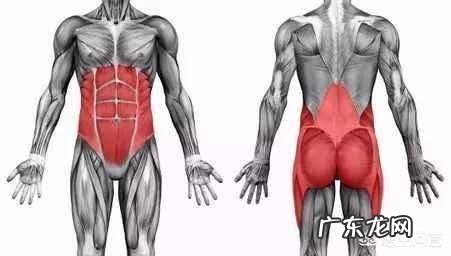 在跑步的过程中,该不该注重力量训练