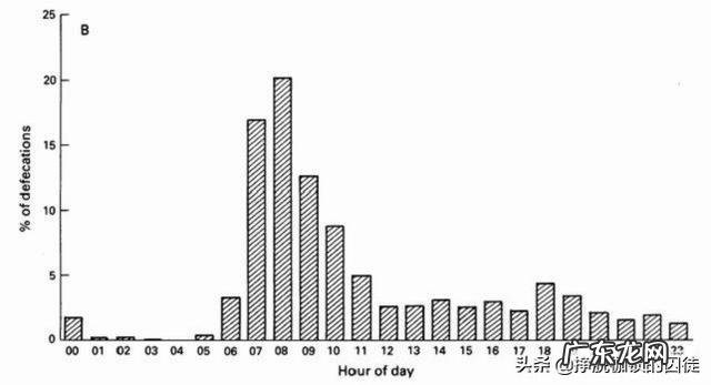排便时,粪便为何会“前硬后软”?是身体出现了便秘吗?