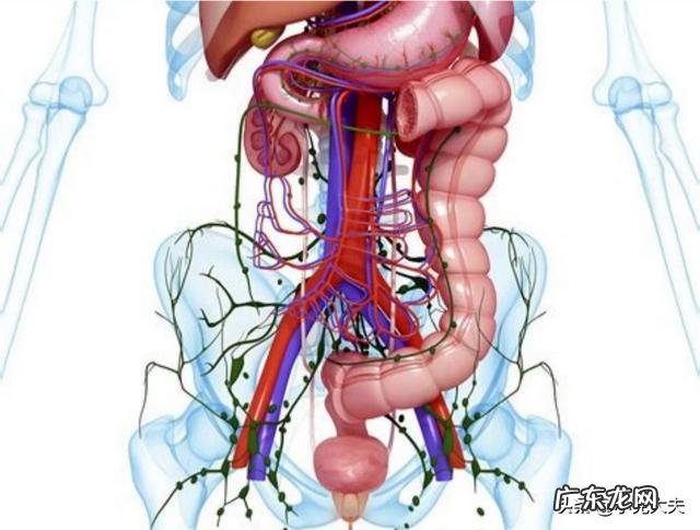 排便时，粪便为何会“前硬后软”？是身体出现了便秘吗？
