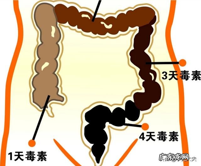 排便时，粪便为何会“前硬后软”？是身体出现了便秘吗？