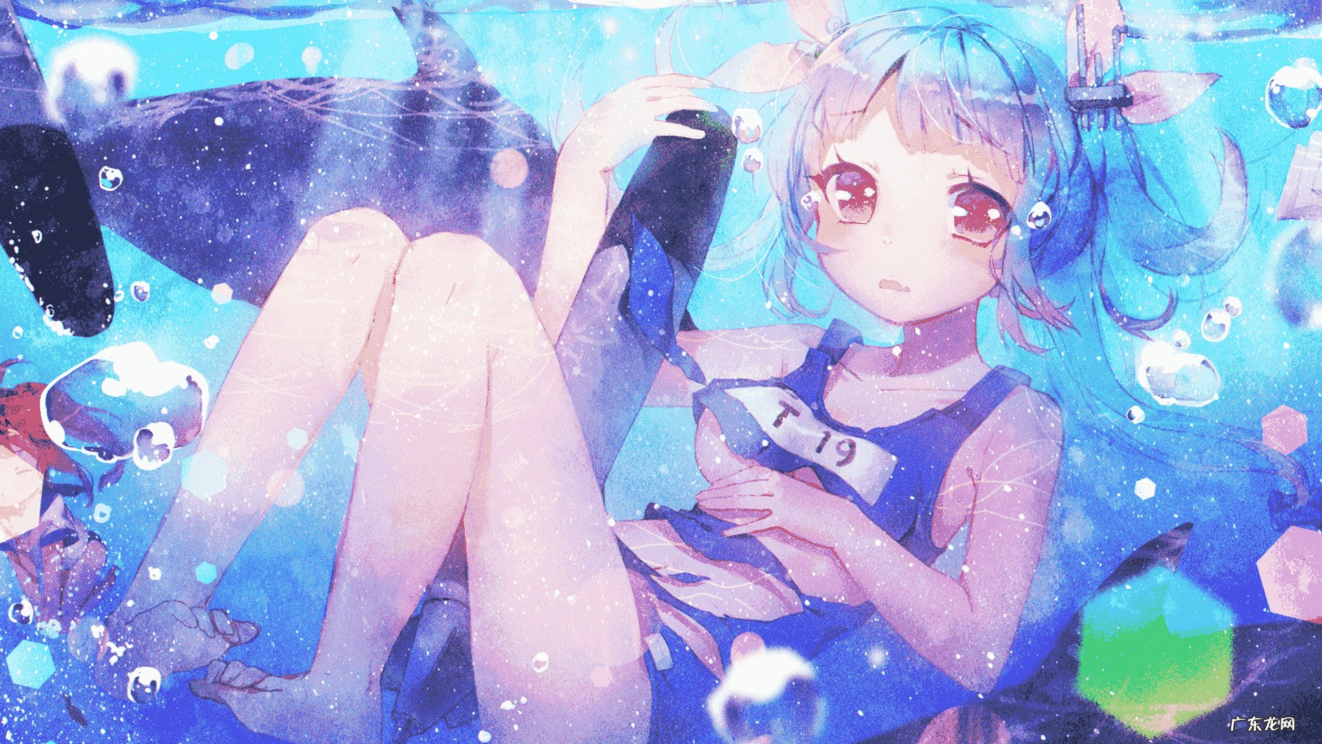 缇丽莎尔代理的真实内幕是什么?