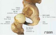 疫情期间在家无聊有什么好的锻炼身体的方法吗？