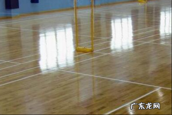 中国木地板十大名牌排名有哪些 中国运动木地板十大名牌