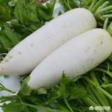 红皮萝卜和白萝卜的区别?