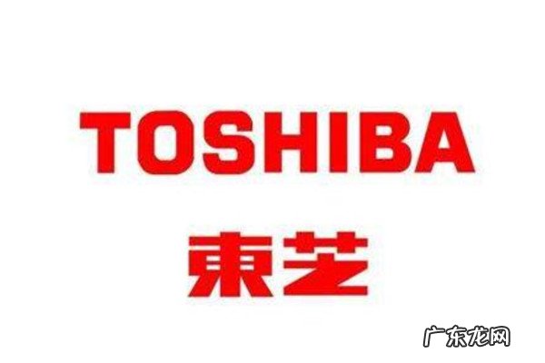 日本智能马桶三大品牌 日本智能马桶品牌十大排行榜