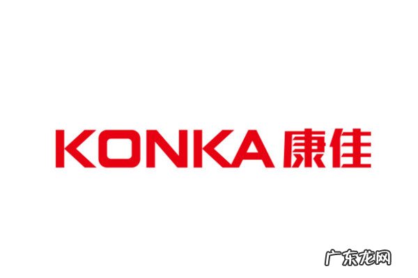 中国十大冰箱品牌排行榜2020 中国十大冰箱品牌排行榜
