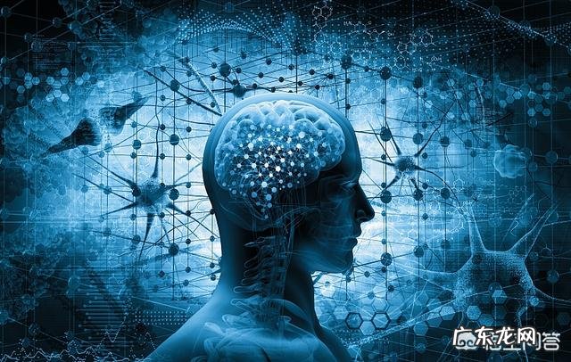 刚开始减脂,体重不降反增,这是怎么回事?