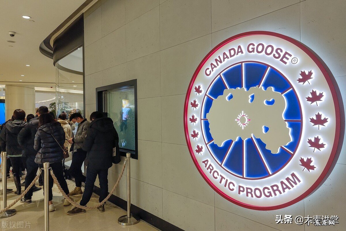 加拿大鹅动则过万！哪来的底气敢卖那么贵？粉丝：贵有贵的道理