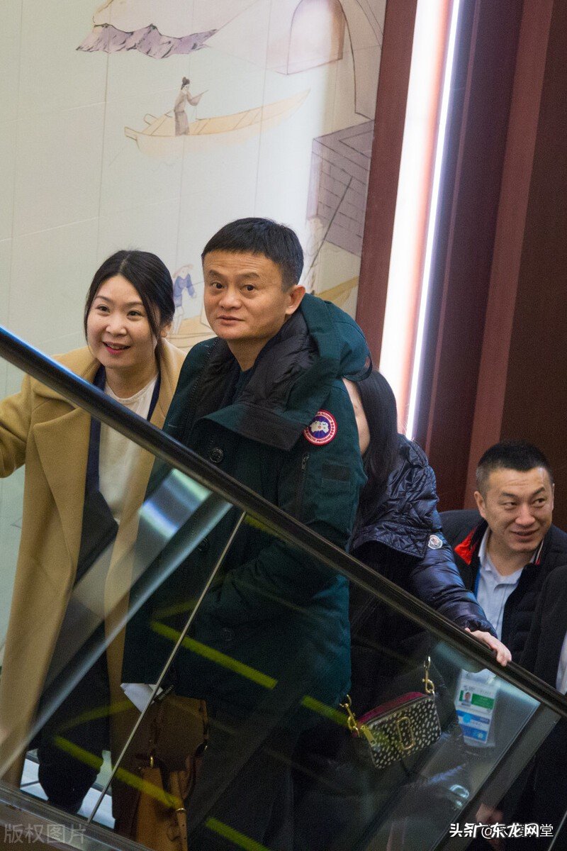 加拿大鹅动则过万！哪来的底气敢卖那么贵？粉丝：贵有贵的道理