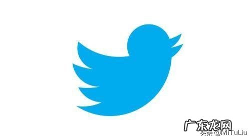 国外短视频网站有哪一些 有没有能看到外国的短视频的平台或者网站?