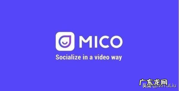 国外短视频网站有哪一些 有没有能看到外国的短视频的平台或者网站?